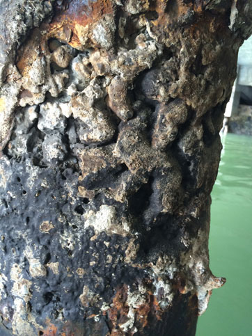 Jetty Pile